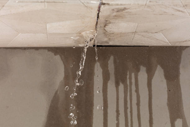 Professional Water Extraction technician working in Richardsville, VA